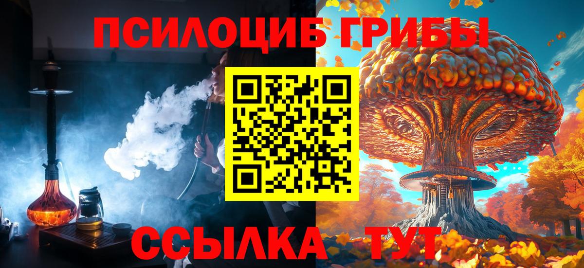 Галлюциногенные грибы мухоморы  Вход с VPN  Галлюциногенные грибы мицелий  Малгобек 