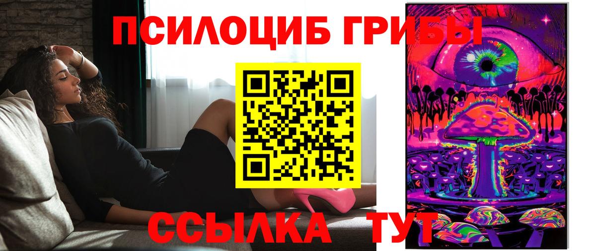 Псилоцибиновые грибы Psilocybine cubensis Малгобек
